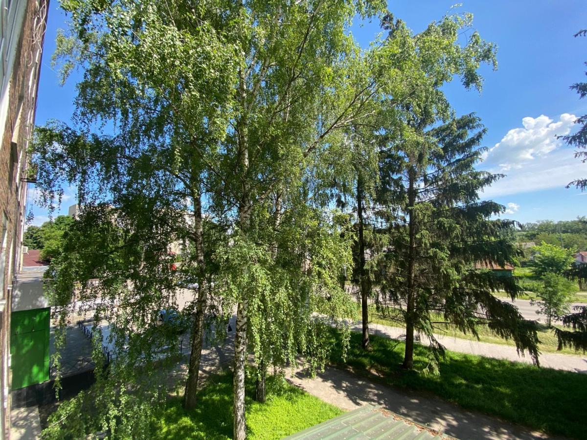 Apartment в самом центре *